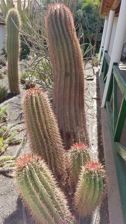 Villa De Cactualdea San Nicolás Esterno foto